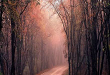 什么叫股票融资余额:配资合作网-大盘回调 无敌的“易中天”也终于跌了！为何情绪突变？